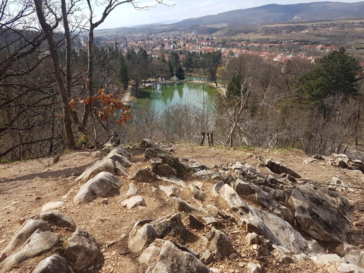 Hotel Ket Diofa Vendeghaz Felsőtárkány Exteriér fotografie